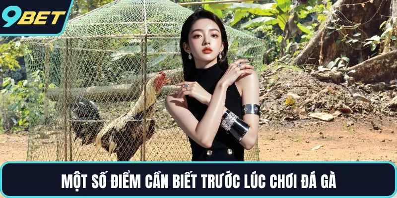 Một số điểm cần biết trước lúc chơi đá gà