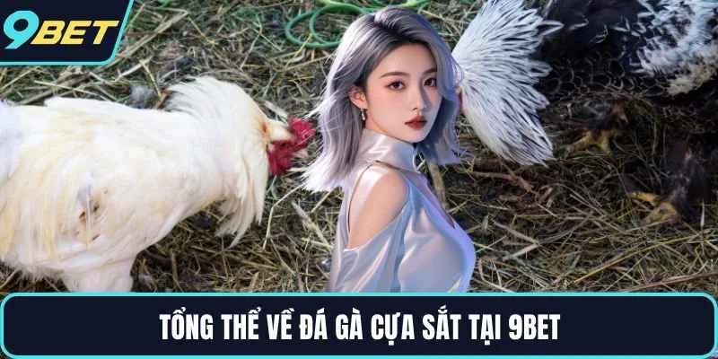 Tổng thể về đá gà cựa sắt tại 9BET