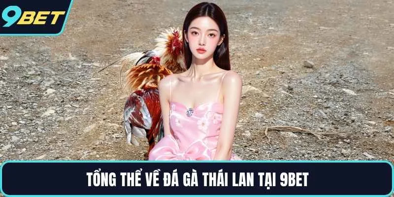 Tổng thể về đá gà thái lan tại 9BET